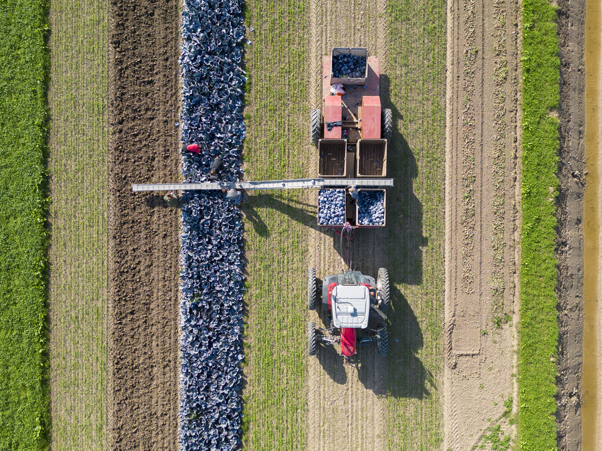 dronefotografie