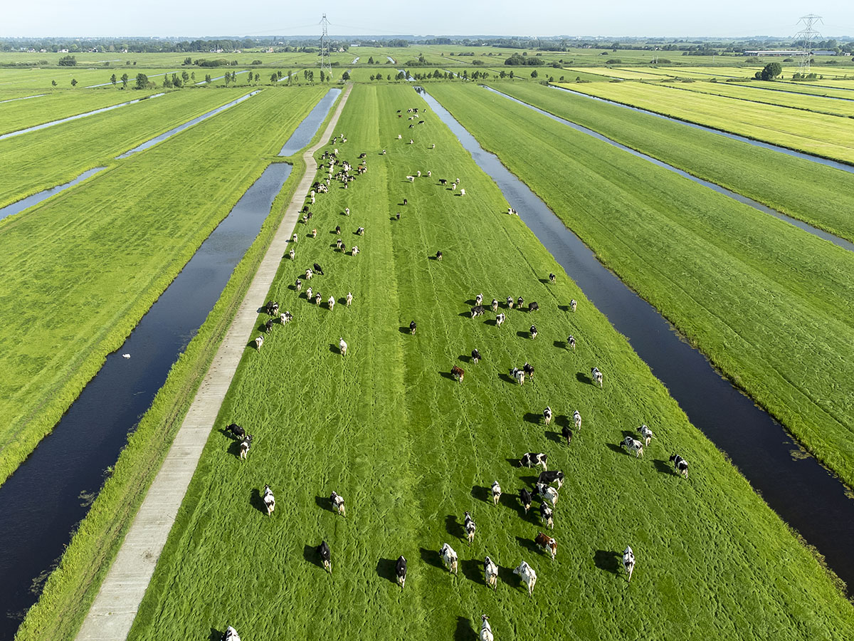 dronefotografie boerenbedrijven