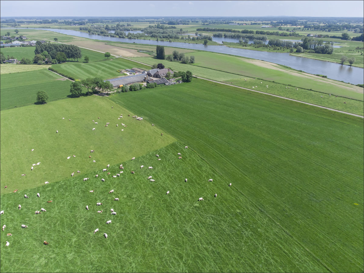 luchtfotografie boerenbedrijf