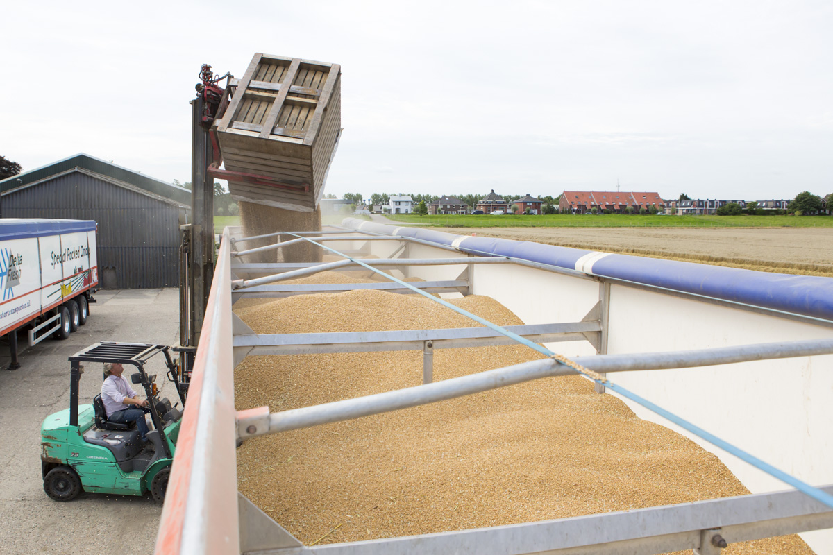 akkerbouw tarwe laden