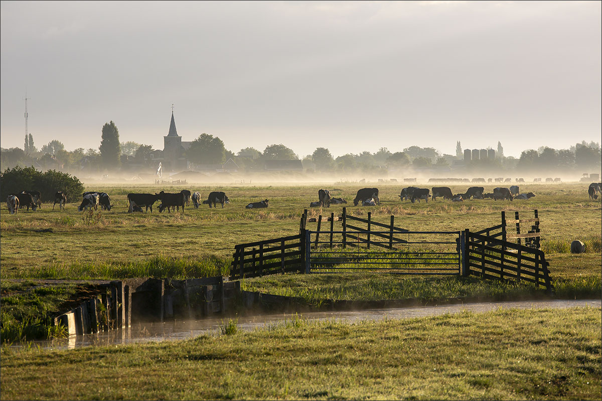 ochtendmist boerenland