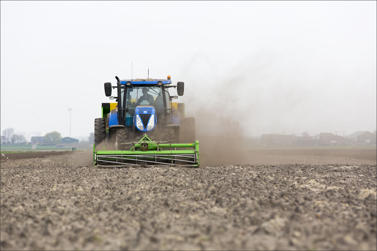 akkerbouw aardappelen poten