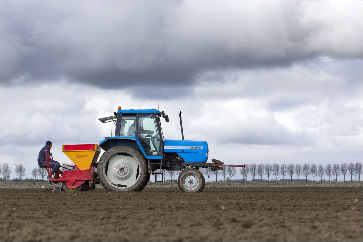 akkerbouw uien poten