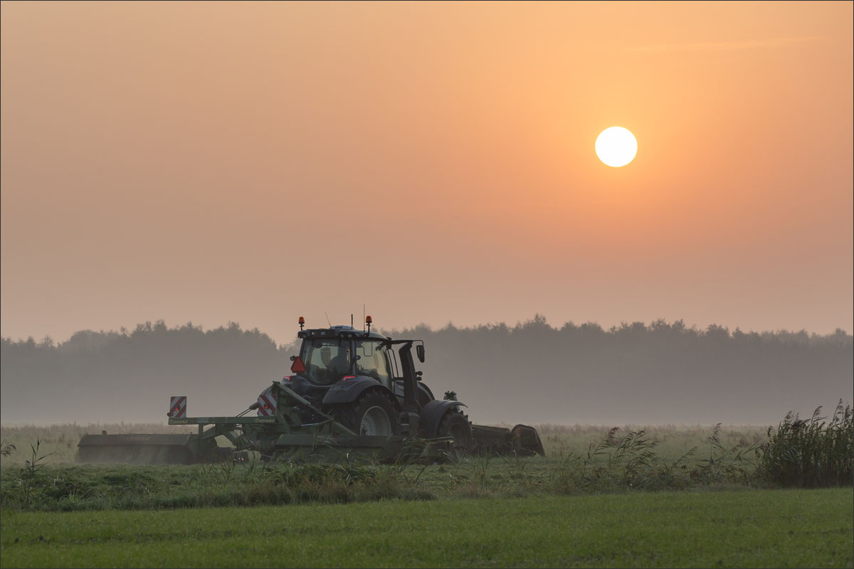 gras maaien