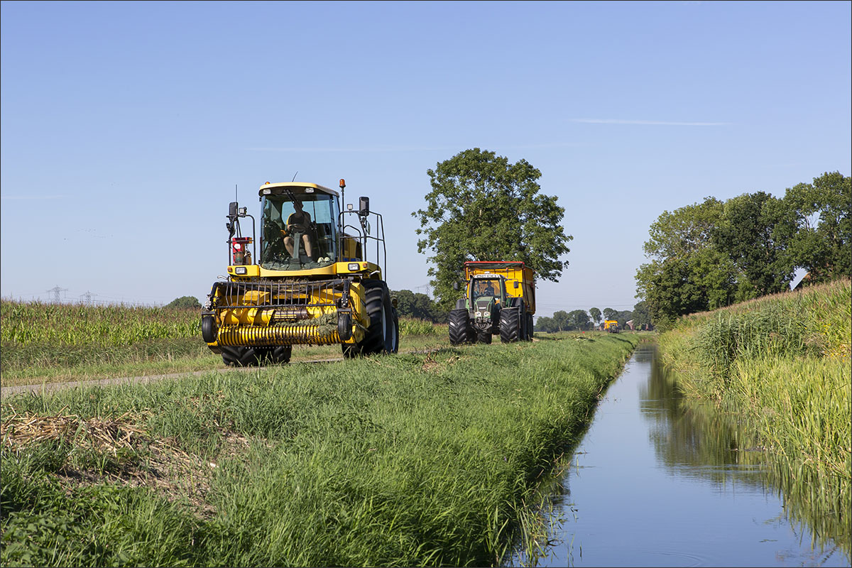 gras inkuilen