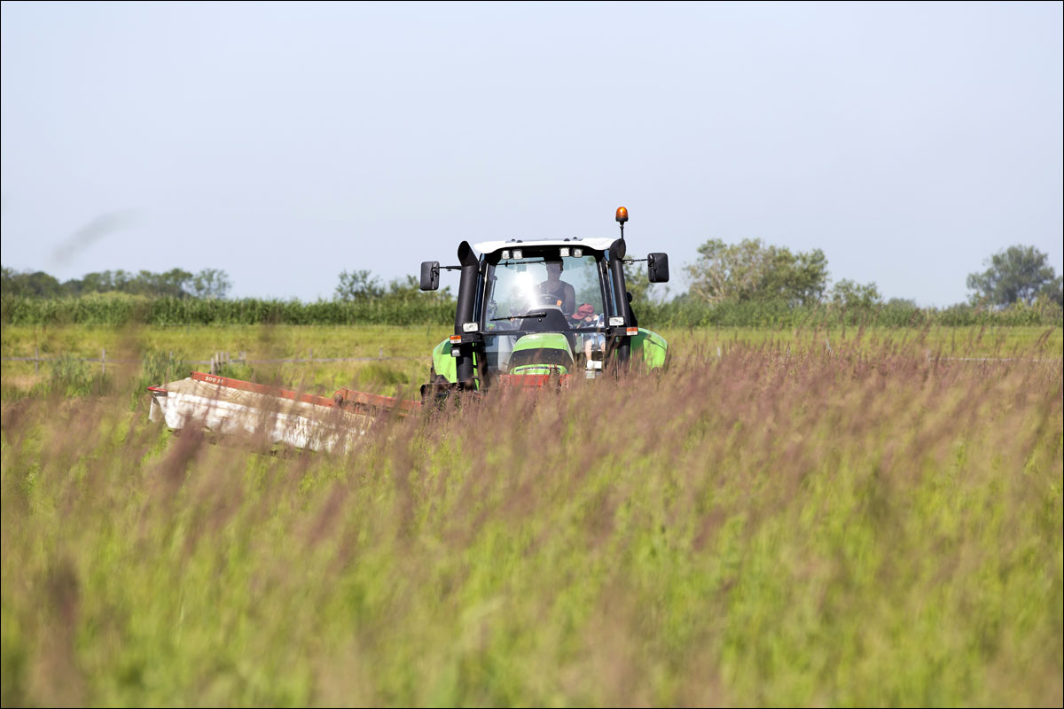 gras maaien