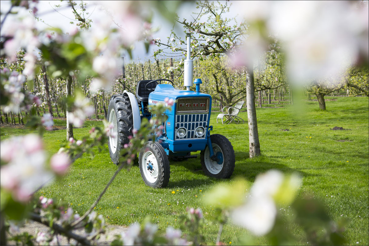 fruitteelt boomgaard