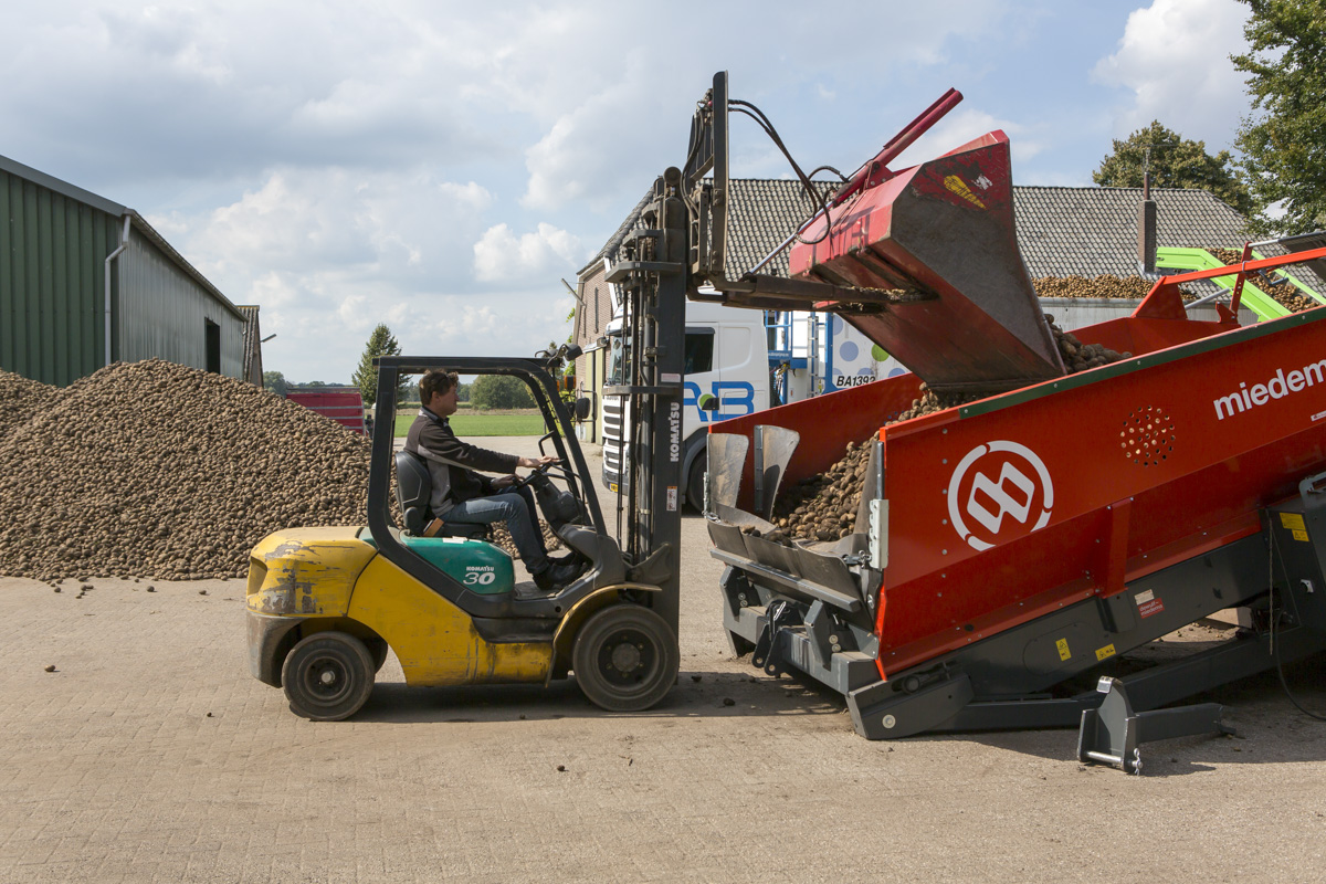 aardappelen sorteren