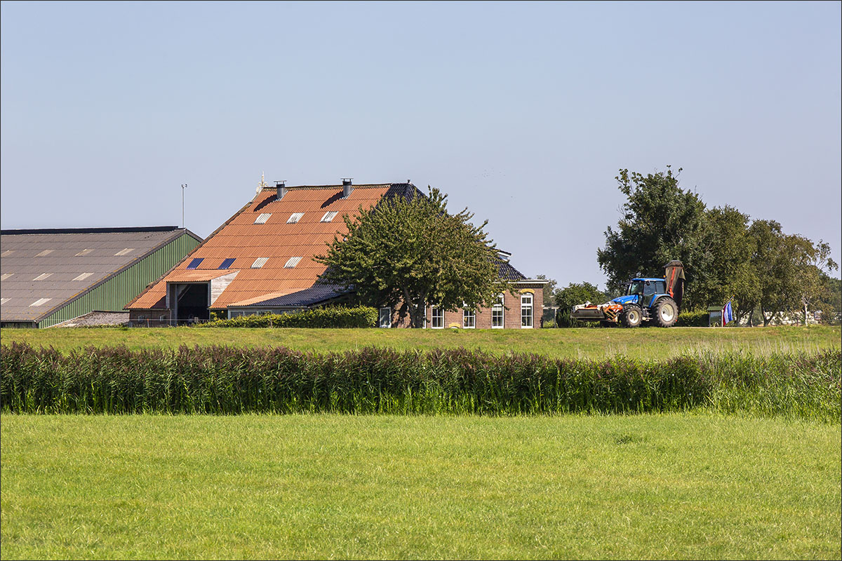 boerderij kampereiland